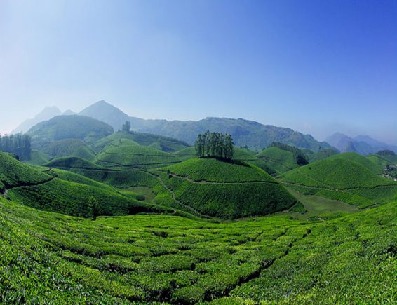 केरल का सम्मोहन और सृष्टि की मनोरम प्राकृतिक संरचना है ‘मुन्नार’