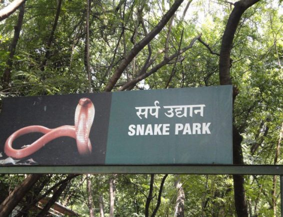 भारत के फेमस Snake Park